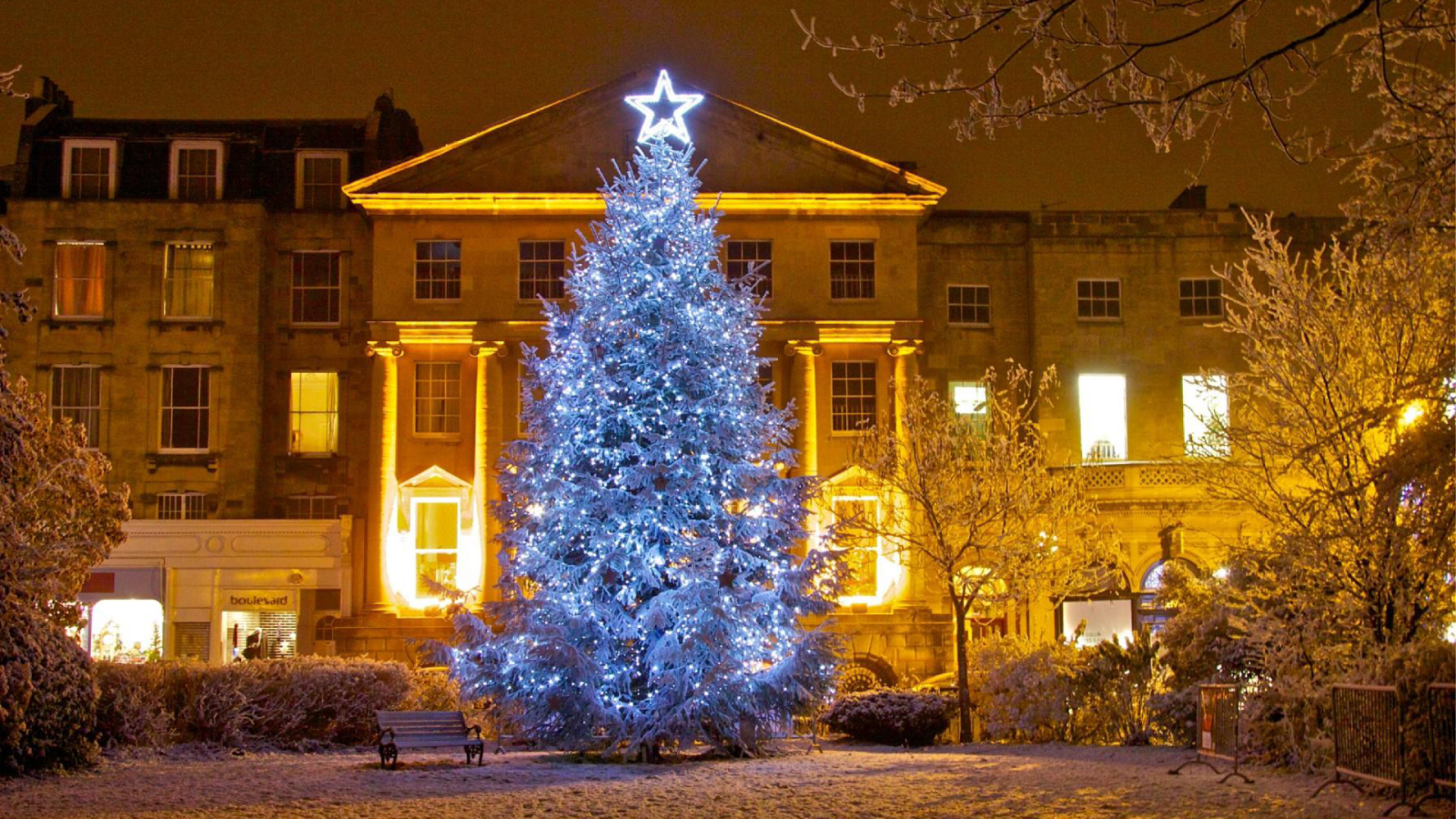 Christmas tree in Clifton